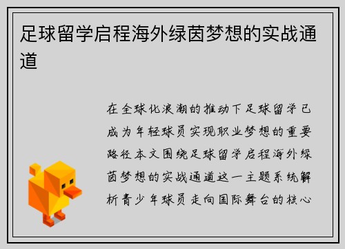 足球留学启程海外绿茵梦想的实战通道